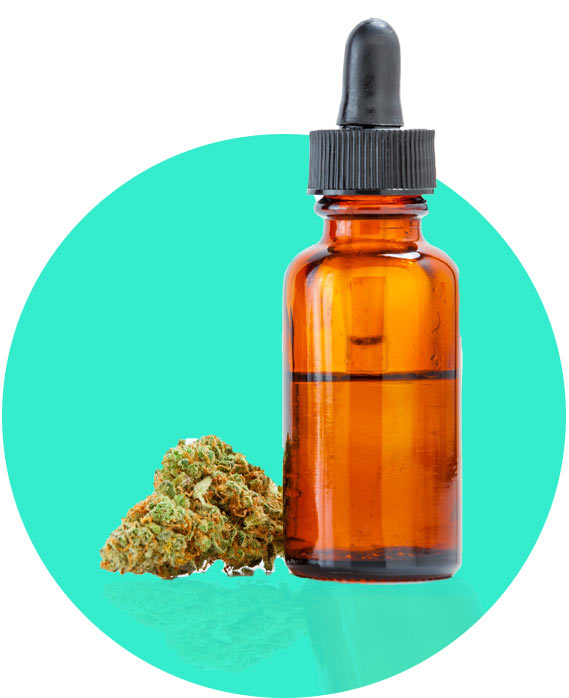 License to Grow 99 Marijuana Plants in California Marijuana Growers