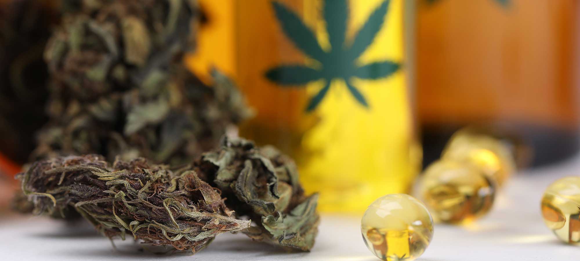 cannabis curbs the opiate epidemic