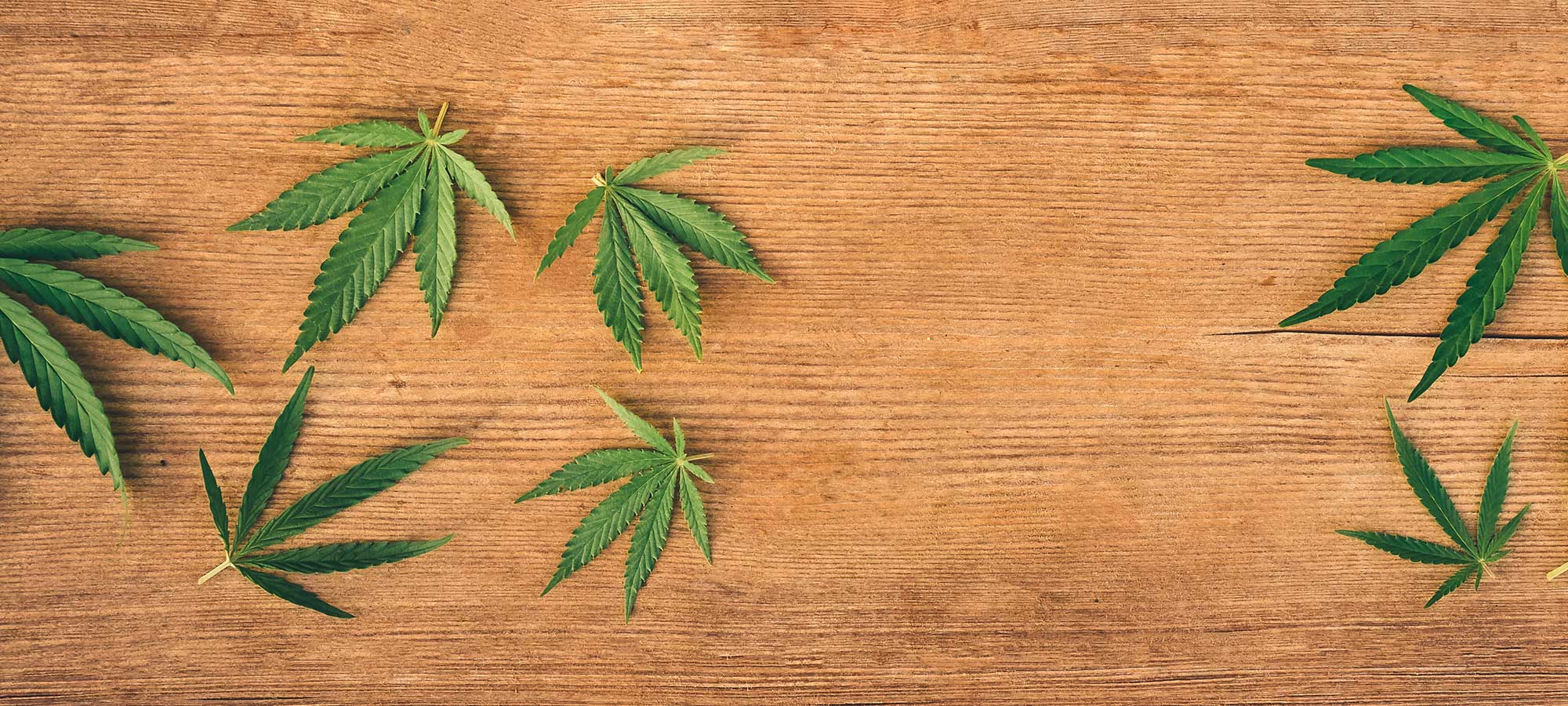 demand of cannabis after legalization