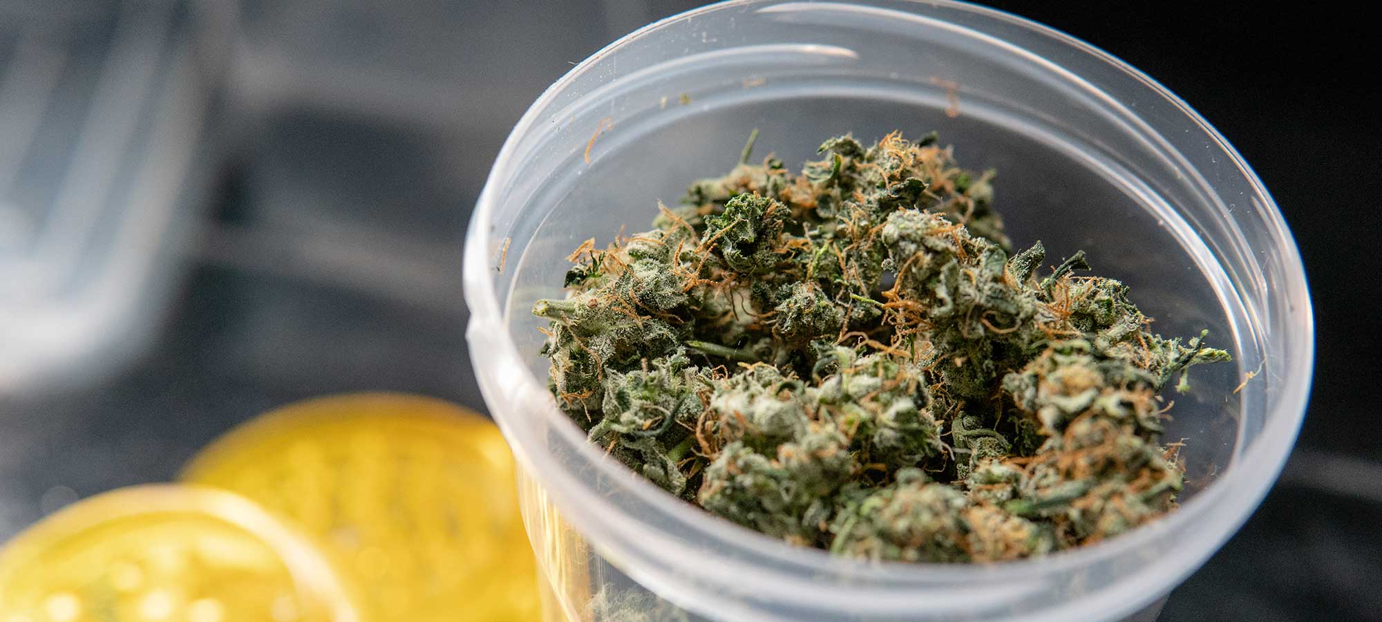 marijuana related news