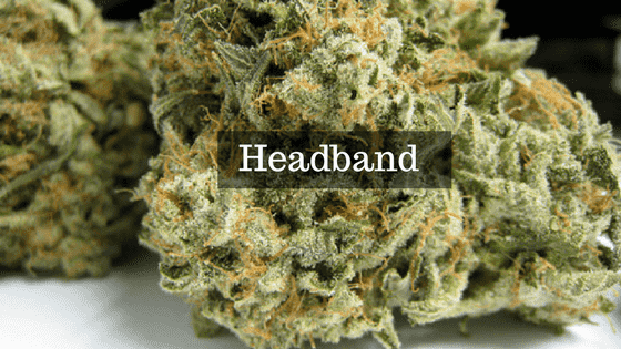 Headband