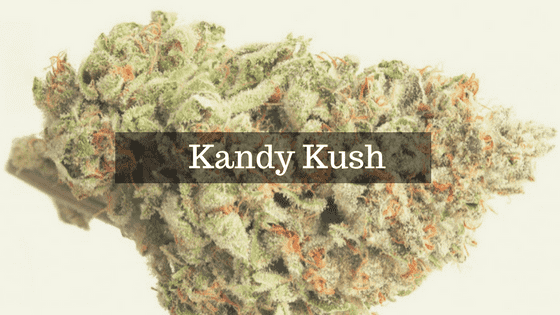 Kandy Kush