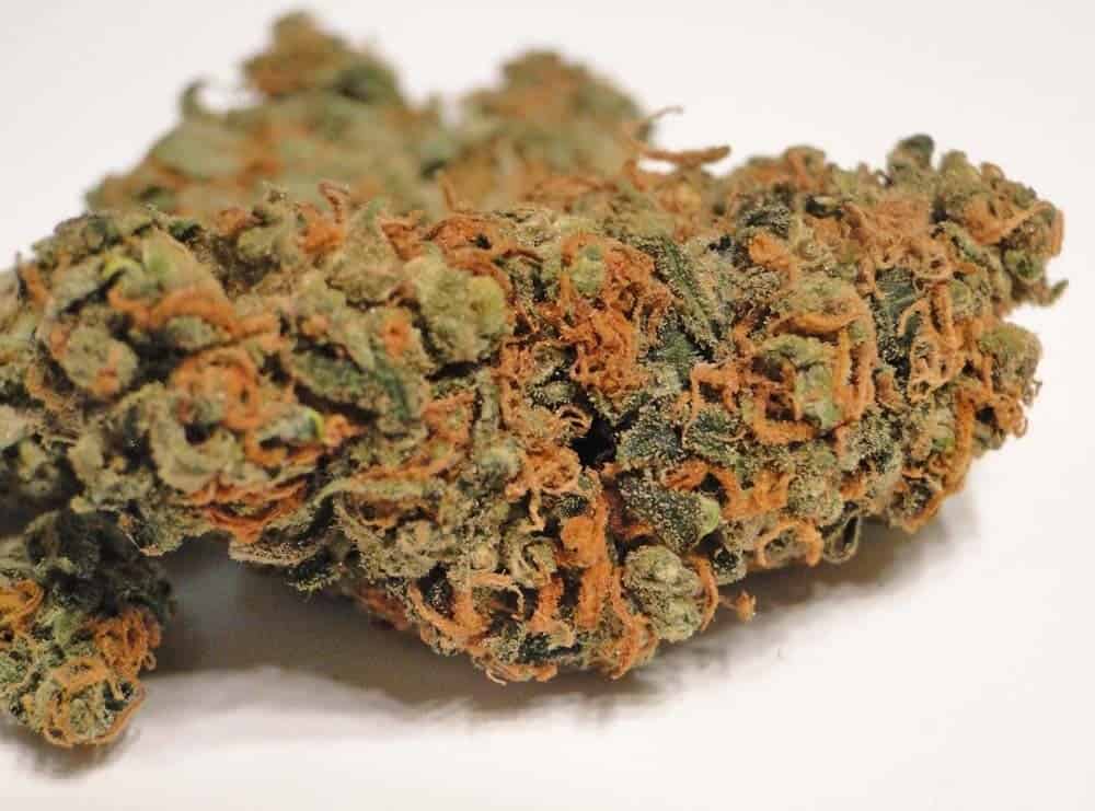 Lemon Haze