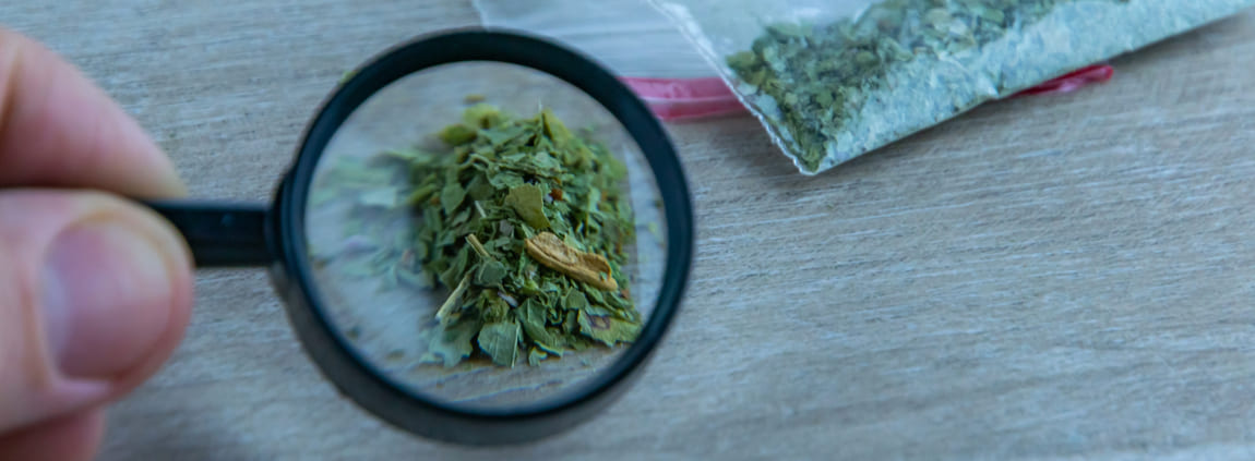 Difference between Synthetic Cannabis and Real Cannabis