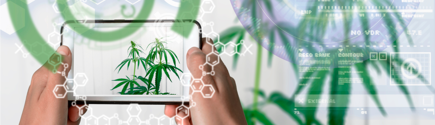 Hottest Cannabis Technology Innovations