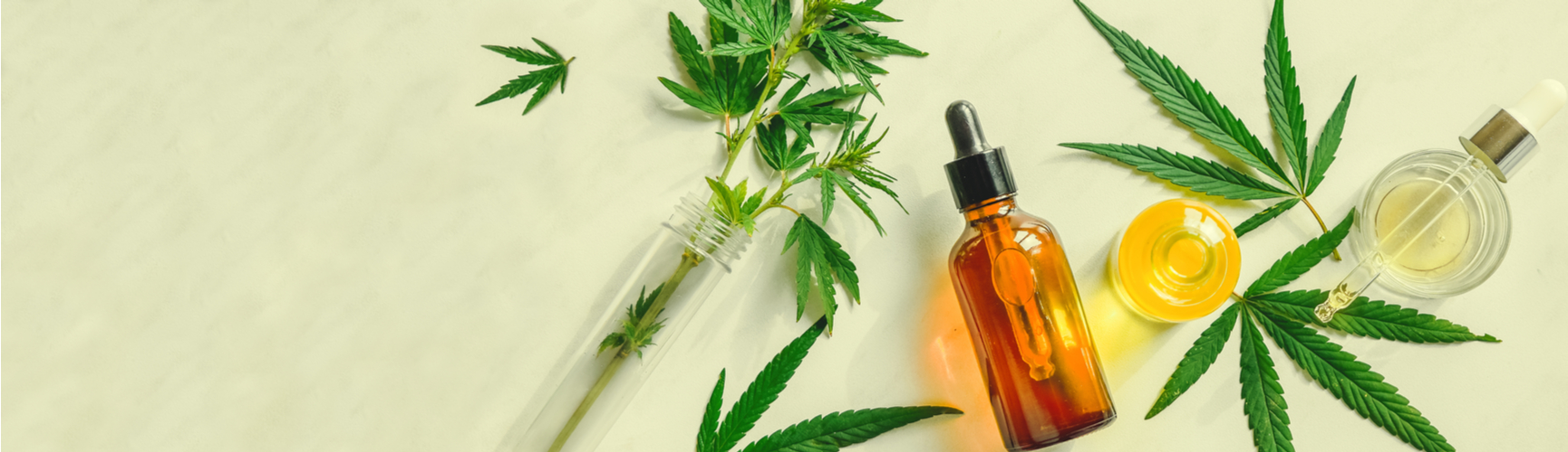 Best CBD Oil For Your Medical Needs