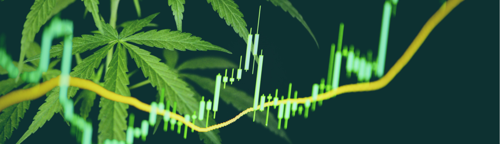 Cannabis Market and Research Trends
