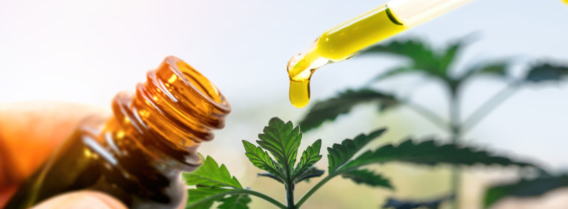 CBD Oil for Allergies