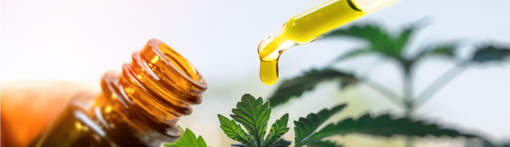 CBD Oil for Allergies – A Lower-Risk Anti-Allergy Treatment