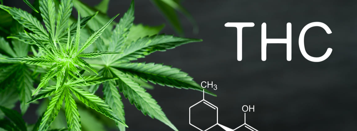 Myths About THC Detoxification