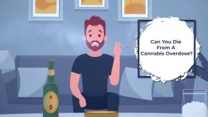 Cannabis Overdose