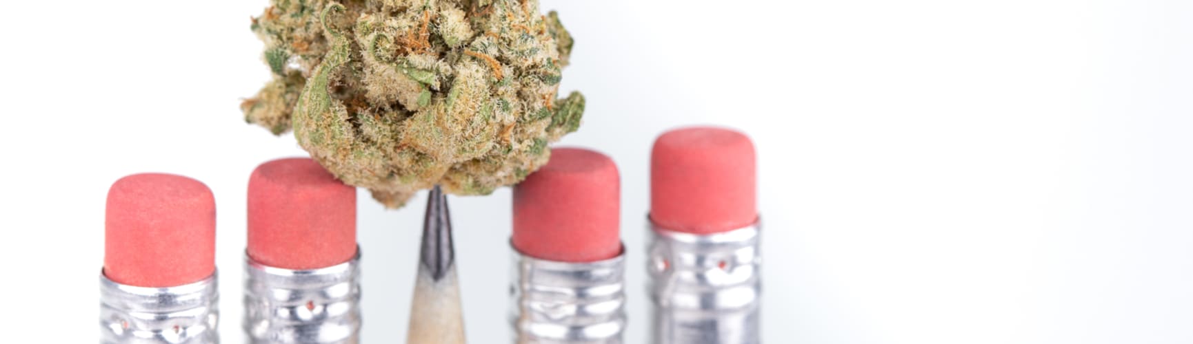 Use Medical Cannabis on School Campus