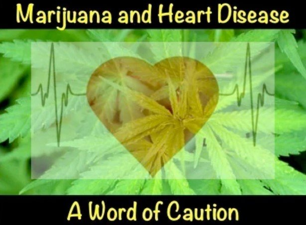 Marijuana and heart disease