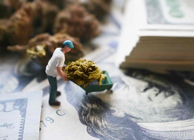 Medical Marijuana Card Online