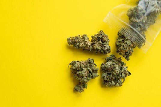 Cannabis Use