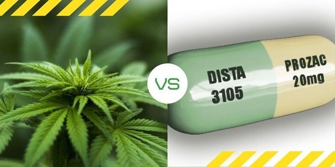 Prozac and Marijuana
