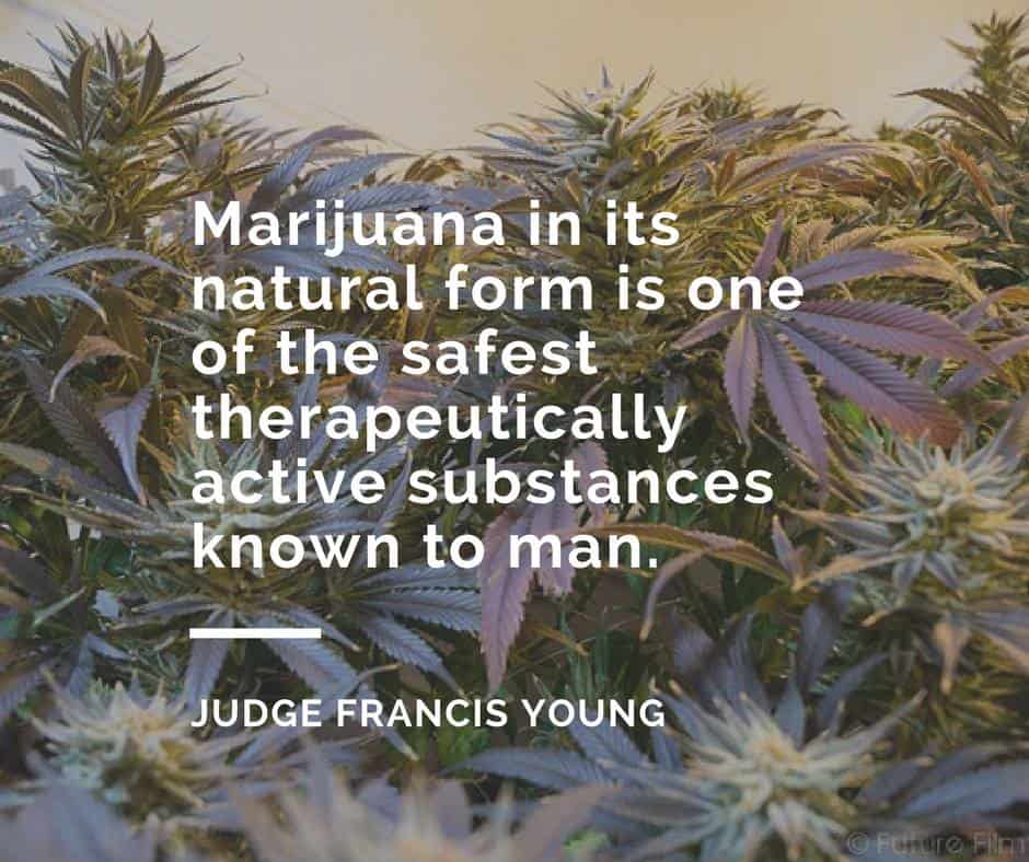 Benefits of a California Medical Cannabis Recommendation /benefits-california-medical-cannabis-recommendation