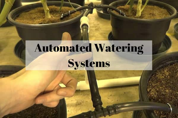 Controlled Irrigation