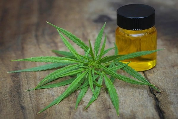 CBD Oil