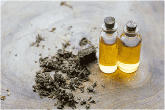 CBD Oil