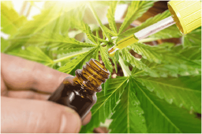 CBD