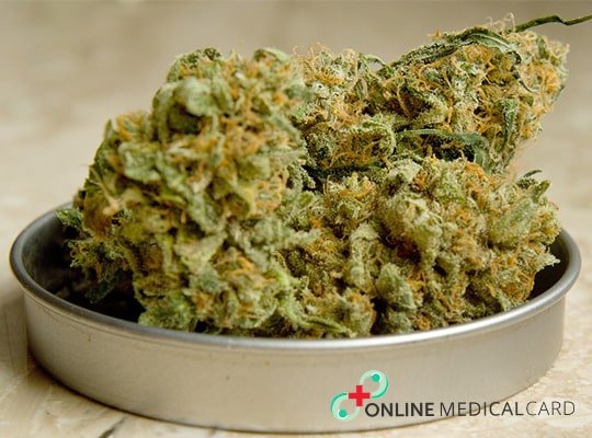 Cannabis A Gateway to Recovery