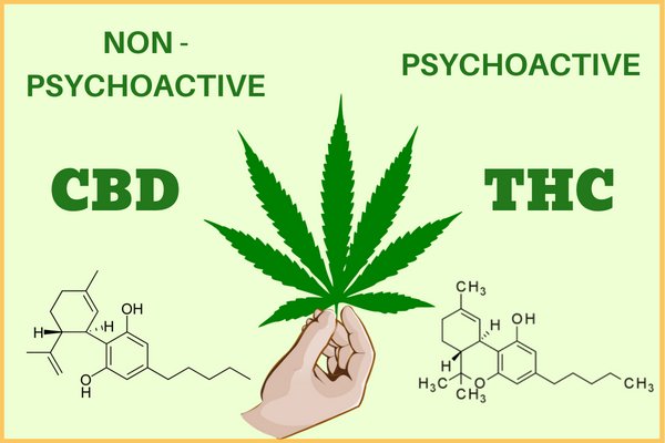 Different THC and CBD levels