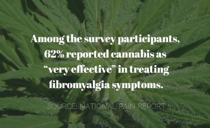 Fibromyalgia Pain