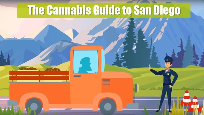 The Cannabis Guide to San Diego