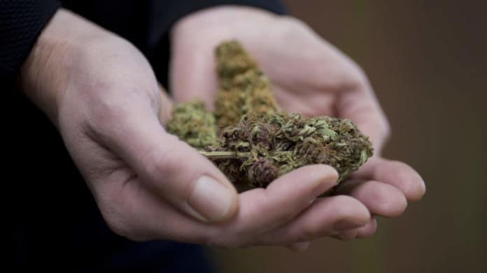 Surprising Find Marijuana Linked with Benefits for Heart Failure Patients