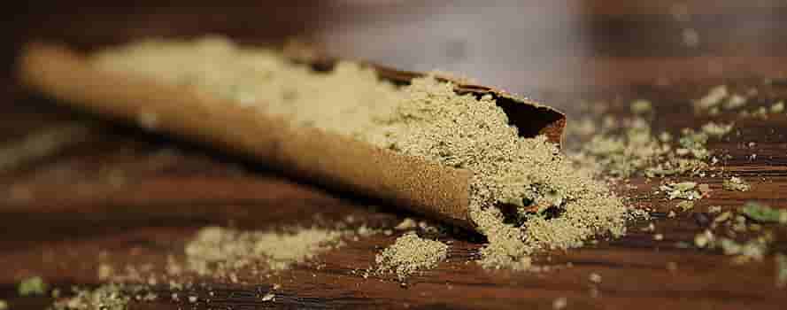 Smoking Devices Blunts