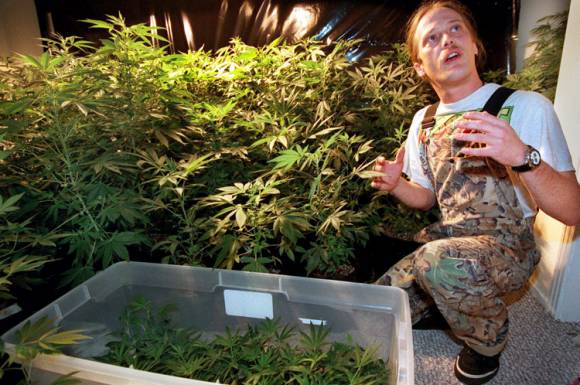 Humboldt County