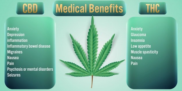 marijuana medical benefits