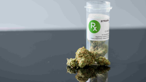 Medical Marijuana Card Renewal