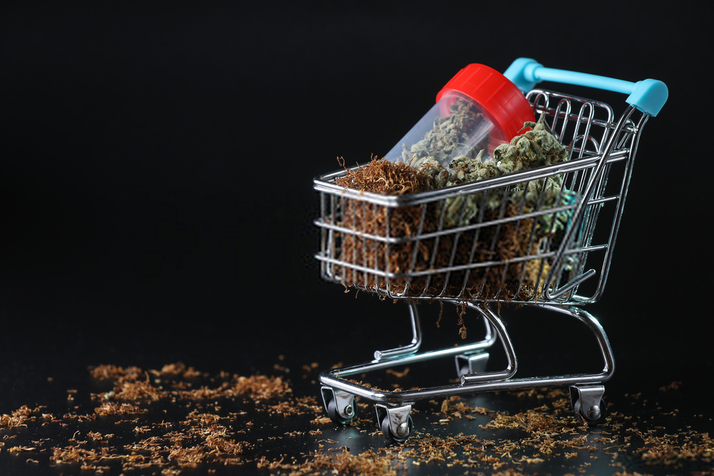 Cannabis Legalization