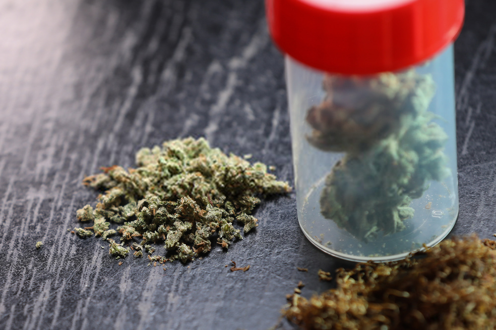 Cannabis Legalization