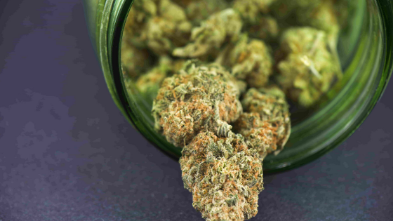 legalized medical marijuana