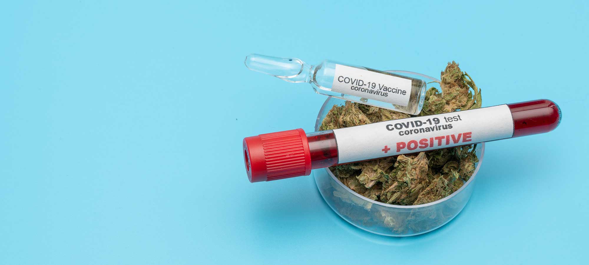 medical marijuana amid COVID-19