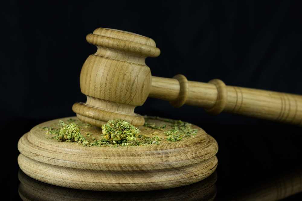 medical marijuana doctor