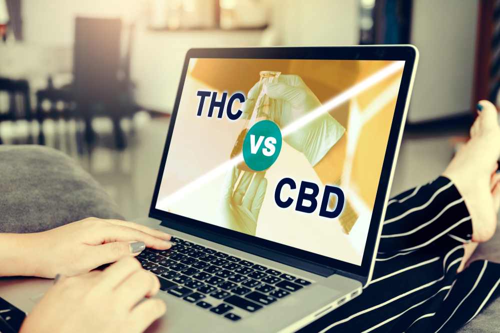 medical marijuana doctor