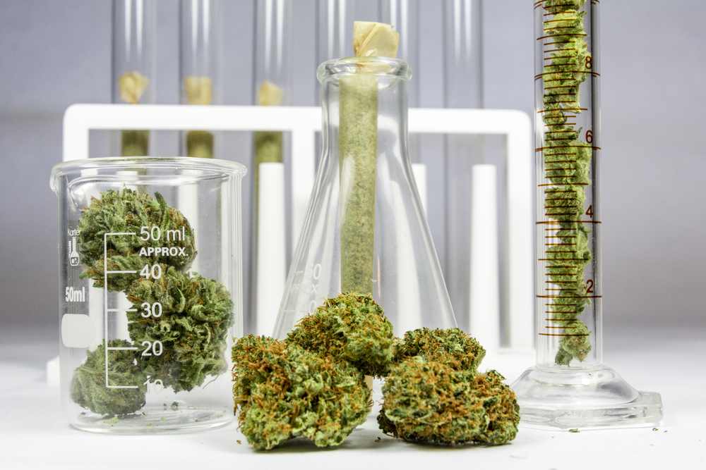 access marijuana with a medical cannabis card
