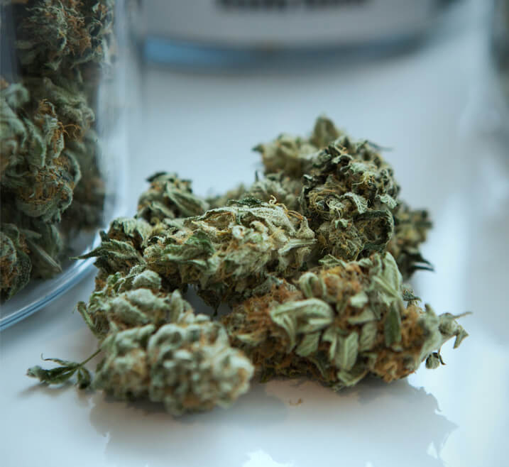 Cannabis Doctors of NH