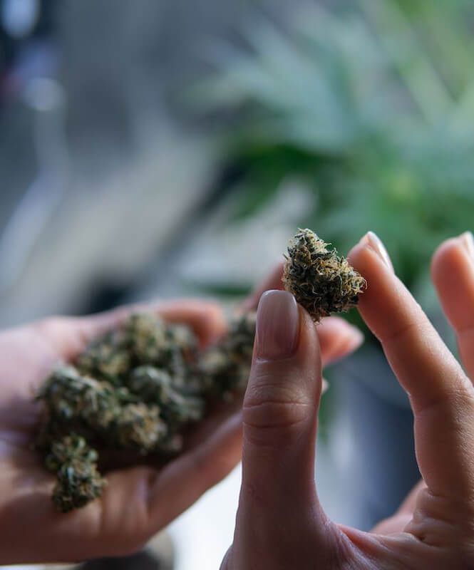 The Best Ways to Use Medical Marijuana