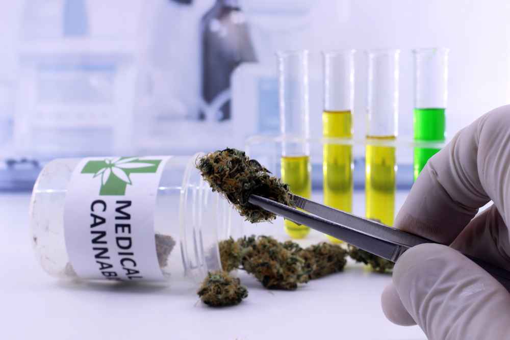 3 Trends That May Transform The Cannabis Industry in 2021