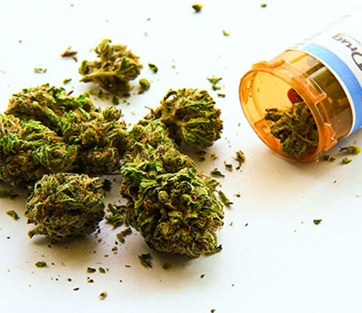 Certified MMJ doctors near me