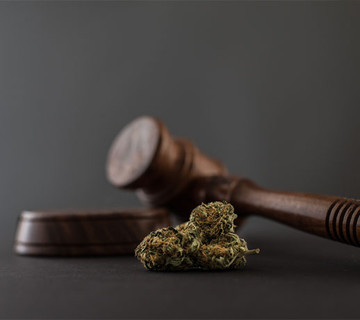 Doctors of Cannabis
