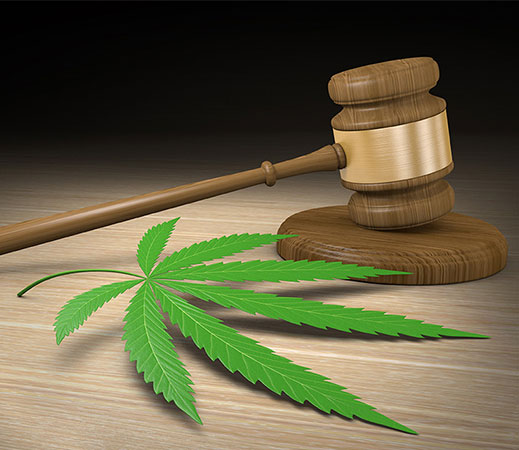 NY Medical Marijuana Doctor Locations