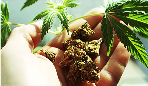 oklahoma medical marijuana