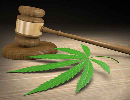 Laws of MMJ