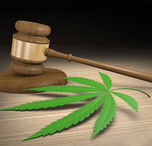 maryland cannabis laws